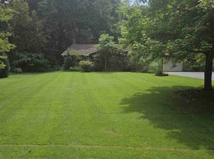 Scott P.'s grass maintenance service result