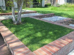 Evelyn C.'s grass maintenance service result