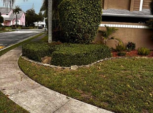 Sol M.'s lawn care services service result
