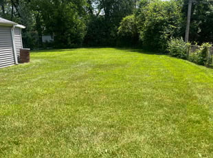 Timothy S.'s grass maintenance service result