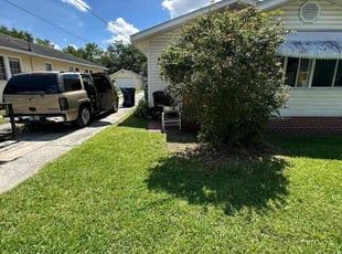 Rayner H.'s grass cutting service result