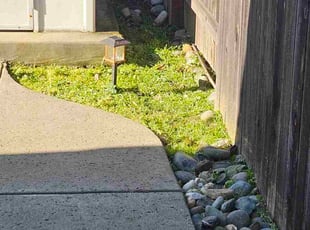 Nakeesah S.'s turf care service result