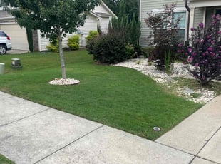 Lucille O.'s grass maintenance service result