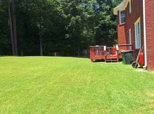 Dan B.'s turf care service result