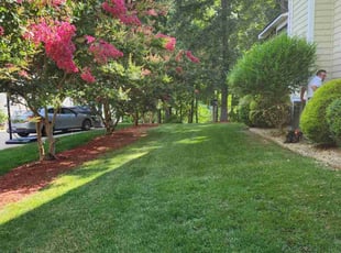 Rodney R.'s lawn service service result