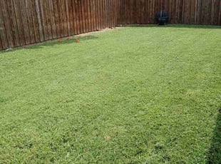 Candace B.'s turf maintenance service result