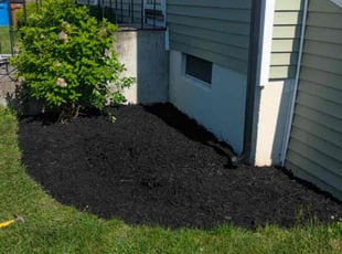 Andrew H.'s lawn maintenance service result