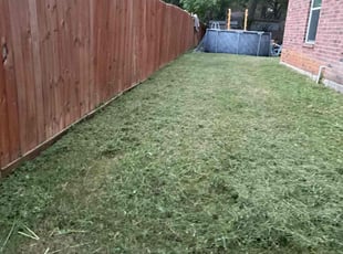 Tully C.'s grass maintenance service result