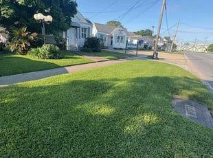 Annie P.'s lawn maintenance service result