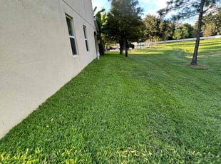 Emily B.'s turf maintenance service result