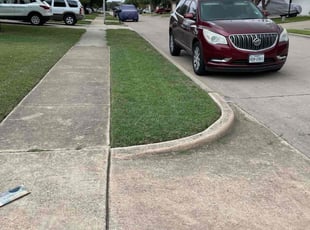 Ayana P.'s lawn care service result