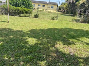 Christine T.'s grass maintenance service result