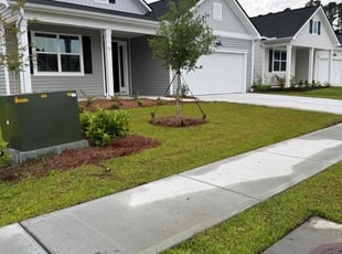 Audra L.'s lawn care service result