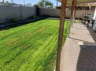 Jacqui C.'s grass maintenance service result