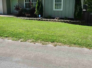Wes S.'s lawn maintenance service result