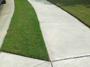 Tammie W.'s turf maintenance service result