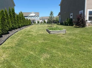 Ricky S.'s turf maintenance service result