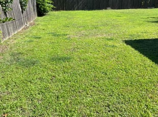 Sebastian F.'s lawn maintenance service result
