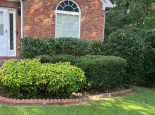 Carolyn K.'s Bush Trimming service result