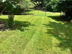 Ghamoti A.'s grass maintenance service result