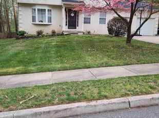 Thomas C.'s turf maintenance service result