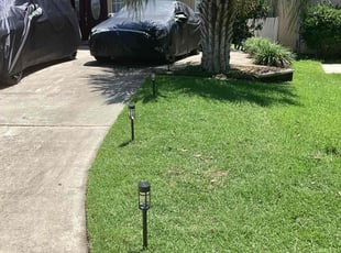 Morris G.'s turf care service result