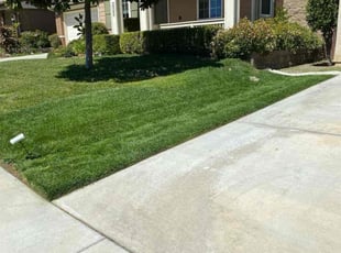 Marc R.'s turf care service result