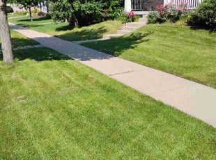 Ralph V.'s lawn maintenance service result