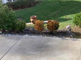 Tanisha W.'s Flower Bed Weeding service result