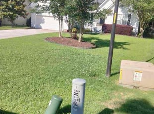 Aja L.'s turf maintenance service result