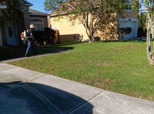 Tracey B.'s Bush Trimming service result