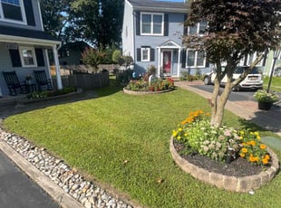 Pat D.'s lawn care services service result