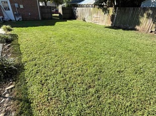 Celina H.'s lawn service service result