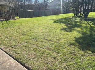 Cate D.'s lawn care services service result