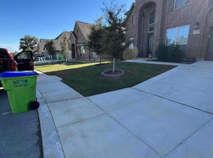 Yen C.'s grass cutting service result
