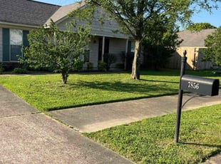 Moira W.'s grass maintenance service result