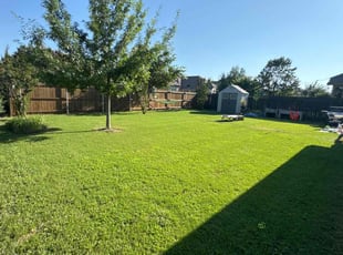 Cara M.'s lawn care services service result
