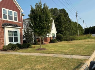 Kristy J.'s turf maintenance service result