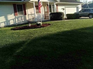 Missy B.'s grass cutting service result