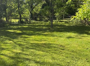 Vumilia M.'s lawn care services service result