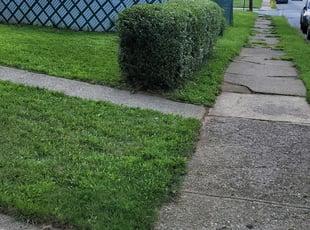 Sam H.'s Bush Trimming service result