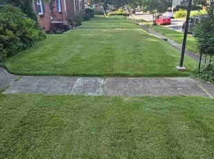 Omar S.'s lawn maintenance service result