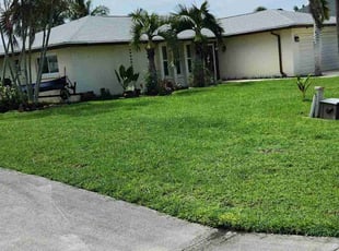 Hilary M.'s lawn maintenance service result