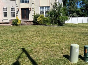 Georgia C.'s grass maintenance service result