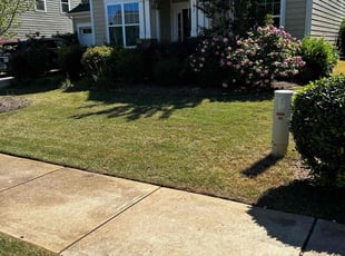 Steve A.'s lawn care service result