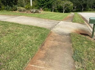 Deborah P.'s grass cutting service result