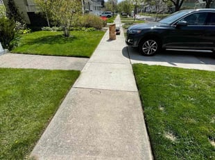 Michele P.'s turf care service result