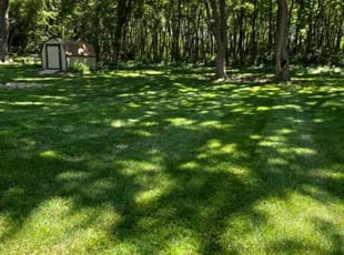 Belinda N.'s turf care service result