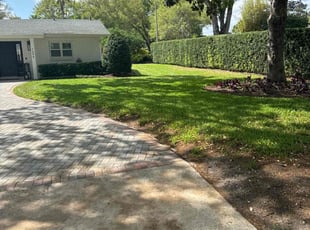 David W.'s lawn care service result