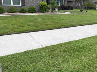 Hunter H.'s turf care service result